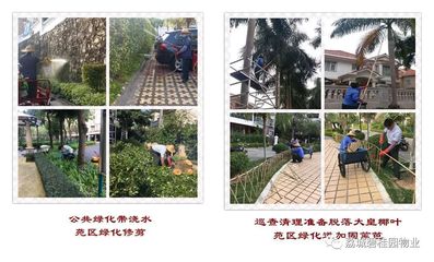 荔城碧桂園2019年1月第四周工作簡(jiǎn)報(bào)暨苑區(qū)重點(diǎn)改造項(xiàng)目匯報(bào)